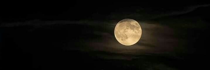 Obsessed Teen Wolf EC⧗🐘🔮 banner