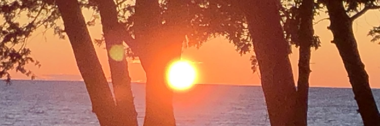 wheelsd's profile banner image