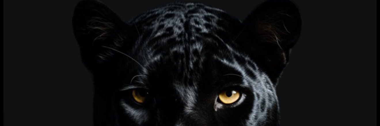 lliv_01's profile banner image