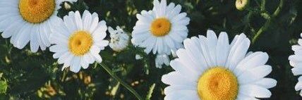 mxqnmtw's profile banner image