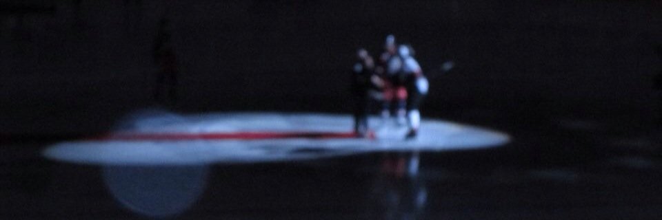 Stephanie banner