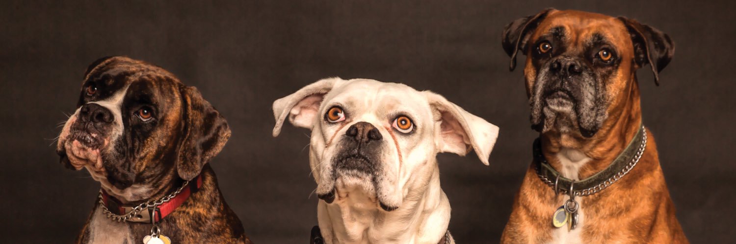 Doxford banner