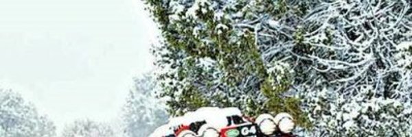 AliceFraga Profile Banner