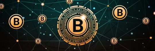 cryptolife710 banner