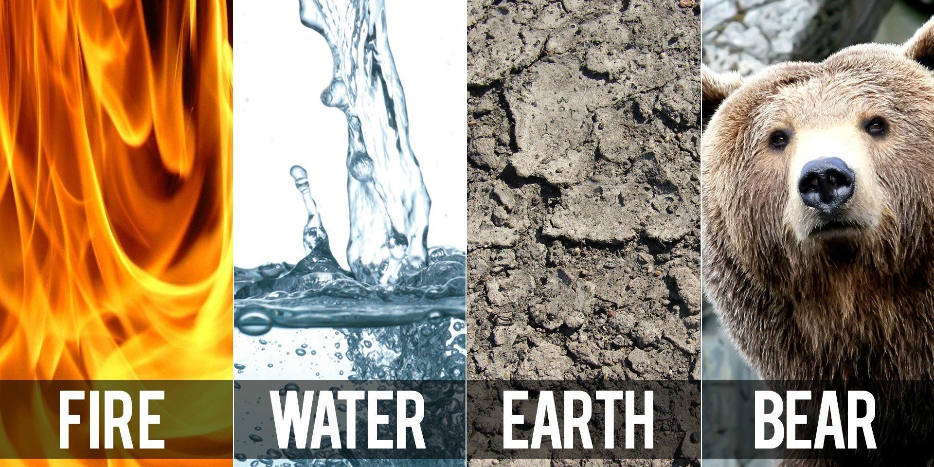 Thrunn the Bear banner