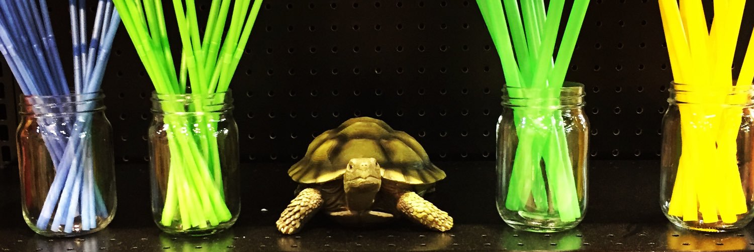 PlastChicks Podcast banner