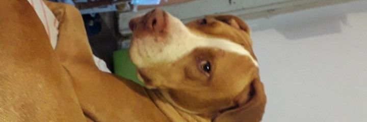 Luana09429506's profile banner image