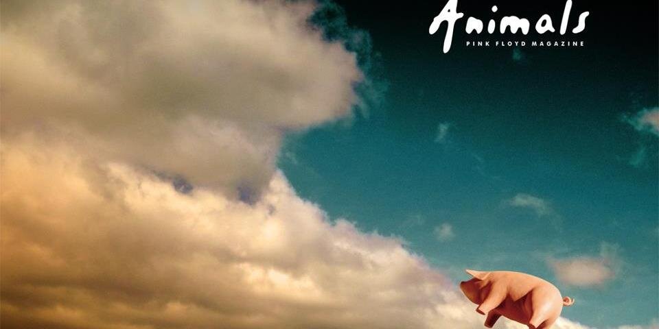 JacquelineeeR's profile banner image