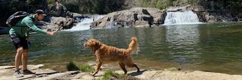 Dan Allen 🍻 banner