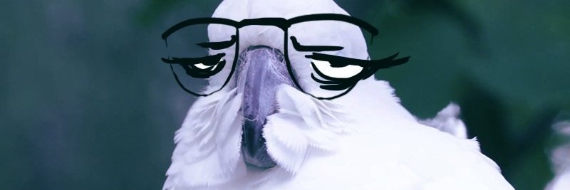 SmoochMountain's profile banner image