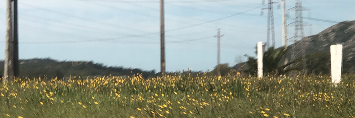 vickitoria08_'s profile banner image
