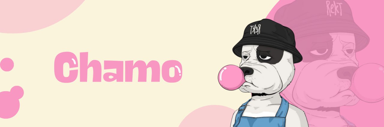 chamojpegs__6's profile banner image