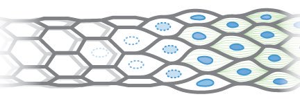 vanvellergroup's profile banner image