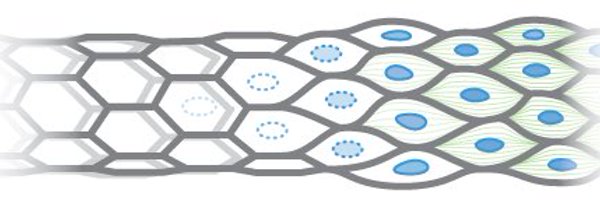 vanvellergroup Profile Banner
