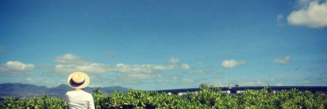 hermie_ino's profile banner image