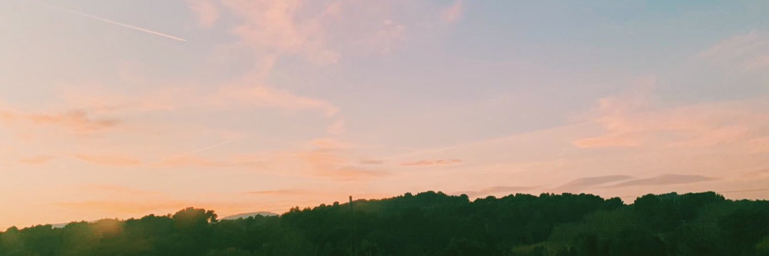 iva🪩 banner