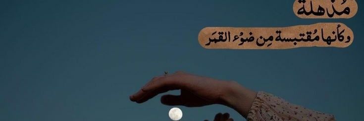 ΛYᄂΛ banner