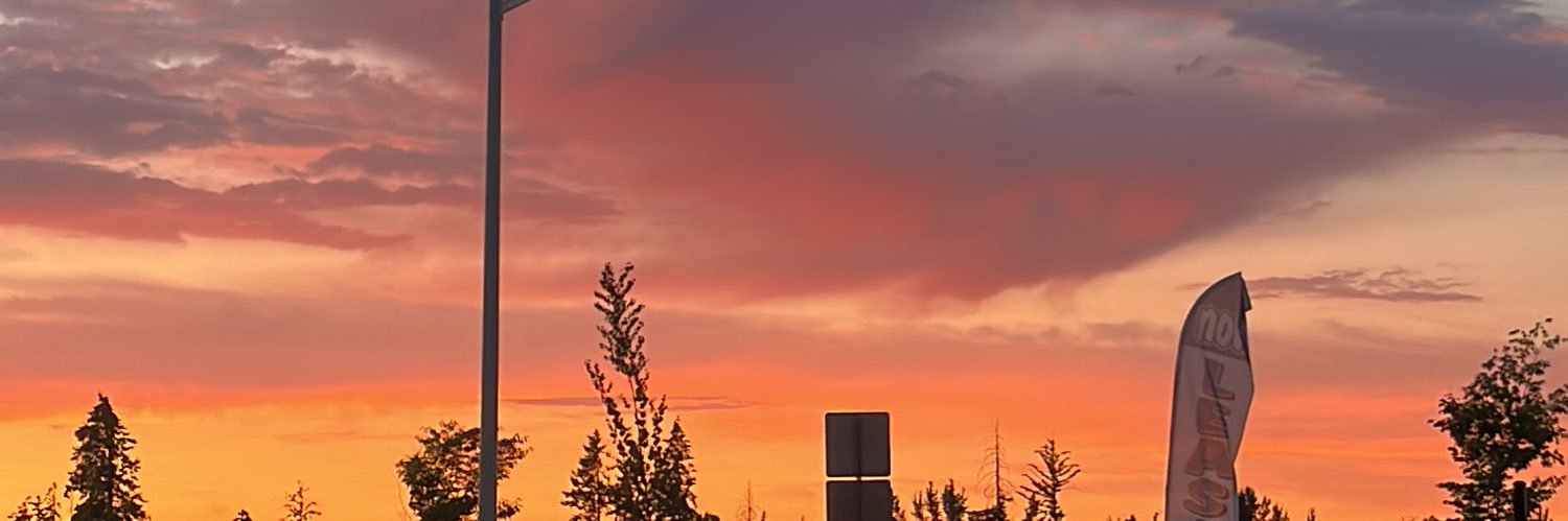 Shaaaryn_'s profile banner image