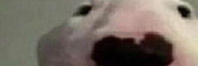 MojoDojo12's profile banner image