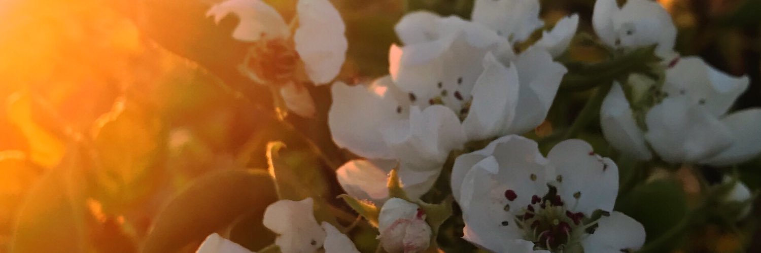 a_g_a_p_a's profile banner image