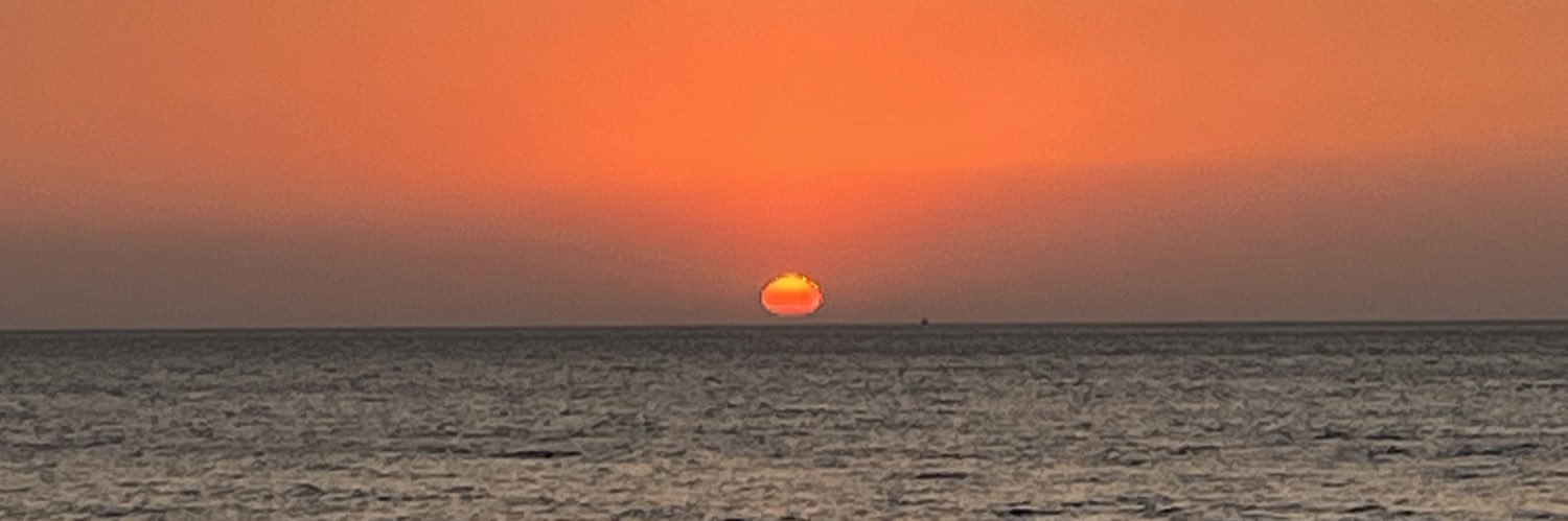 danini10's profile banner image