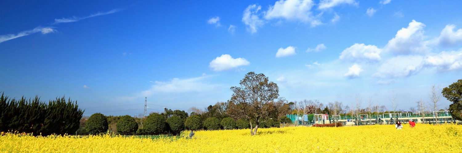ぴんぼけ banner