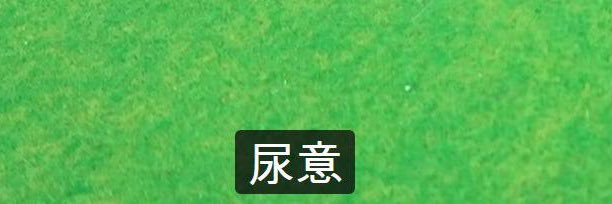 siotarako1's profile banner image
