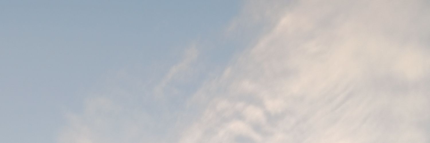 Mali''s banner
