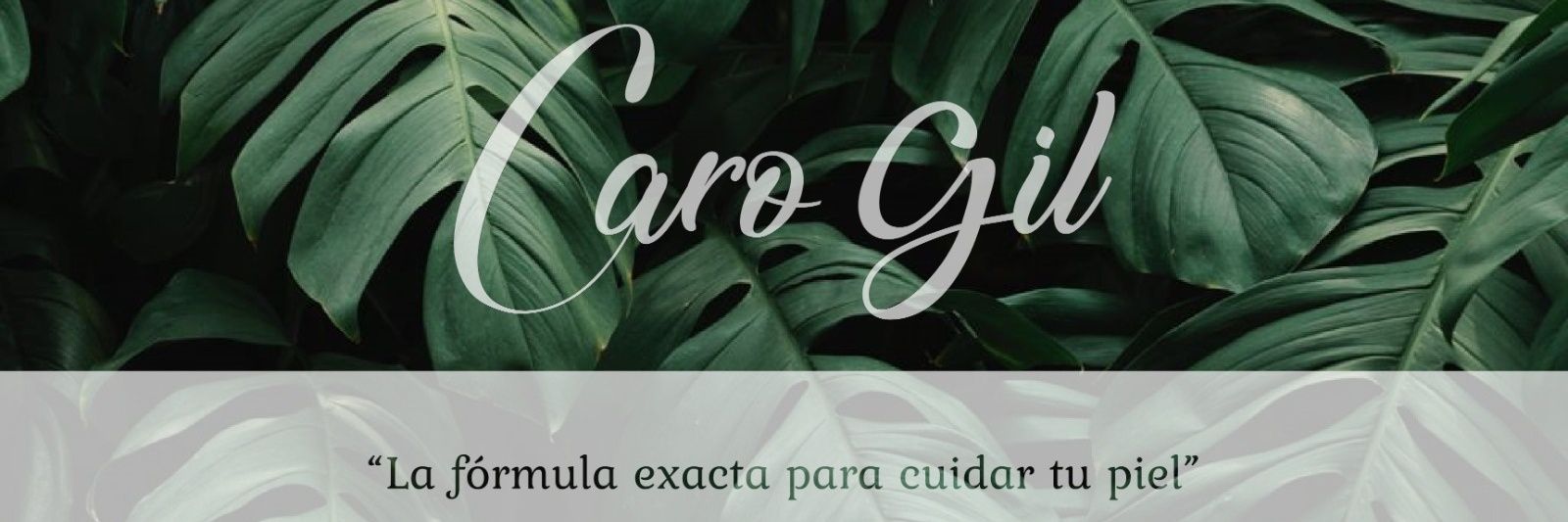 carogilmx's profile banner image