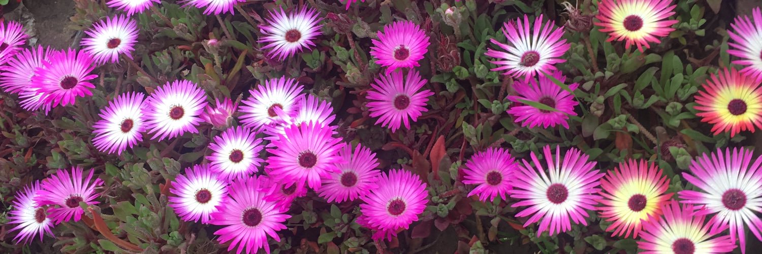 Sheetal Dadhwal banner