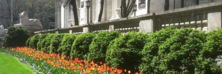 KyleAMcKenzie's profile banner image