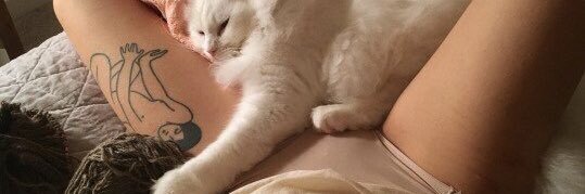 shuberry☁️ banner
