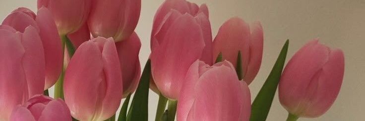 sel🌷 banner