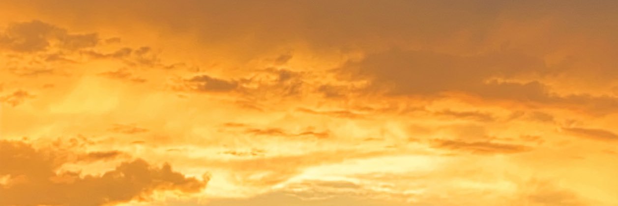 Alba Gomez banner