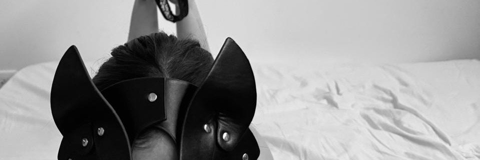 Mjc842's profile banner image