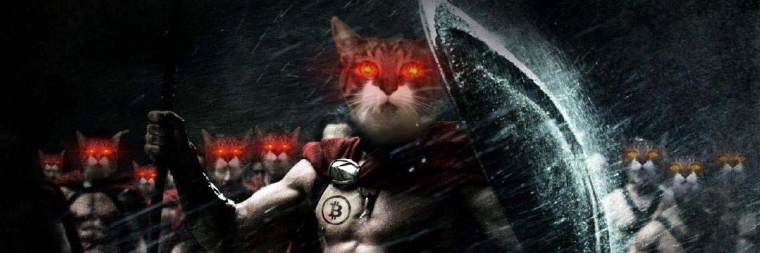 hodlcat ₿'s banner