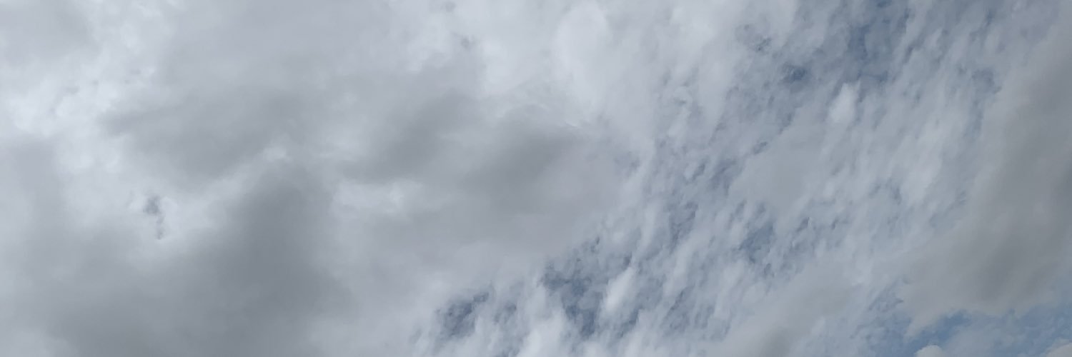 pheonix8409's profile banner image