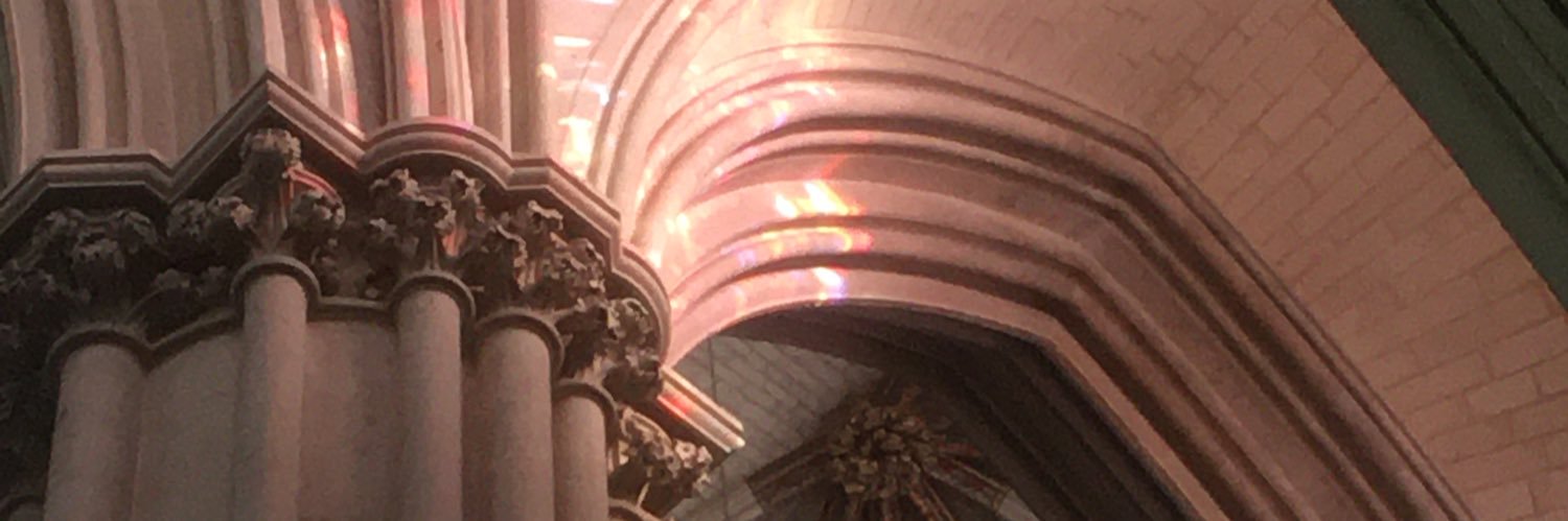 maybeherne's profile banner image