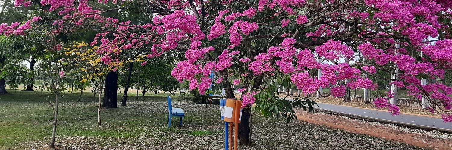 Parque Ñu Guasu y Guasu Metropolitano Paraguay banner