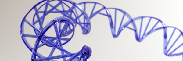 EAGLE_GENETICS Profile Banner