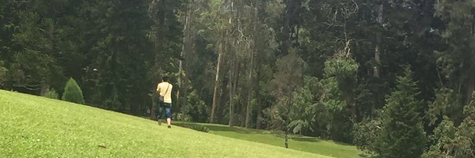 HishamD_'s profile banner image