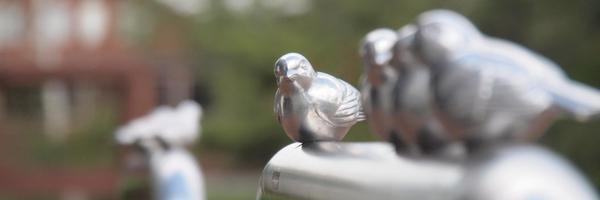 Ray___S Profile Banner