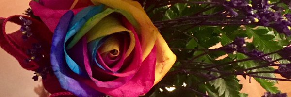 tammyvick Profile Banner