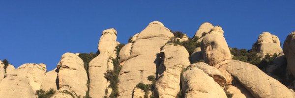 LluisMont2 Profile Banner