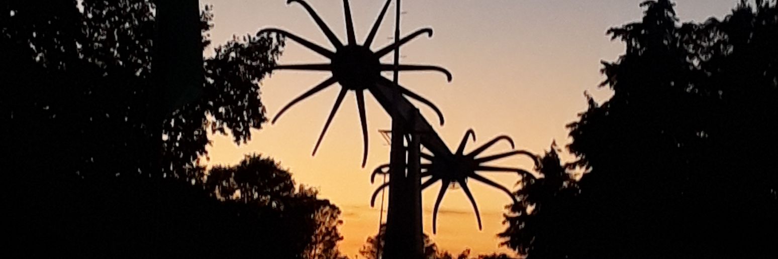 CinUTZ1's profile banner image