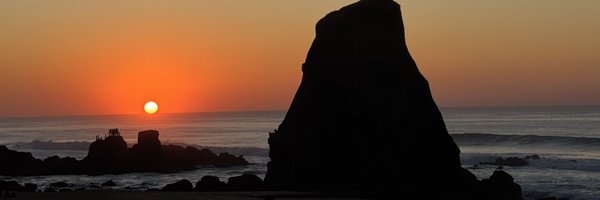 jekkinhas Profile Banner