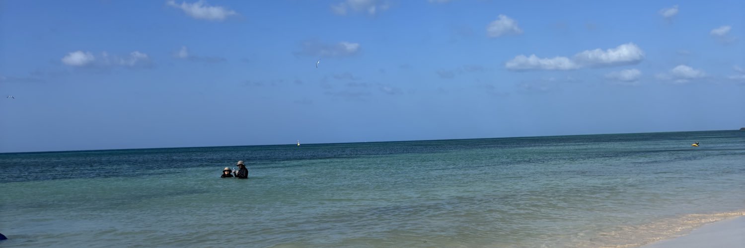 auriisBZ's profile banner image