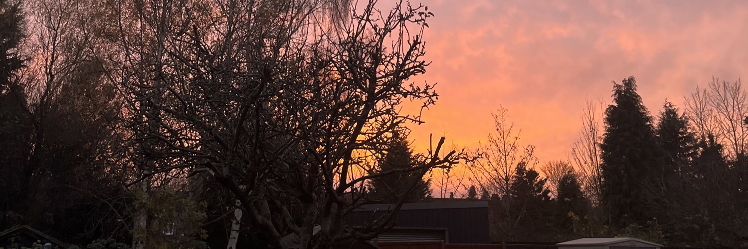 yourstrulyvals's profile banner image