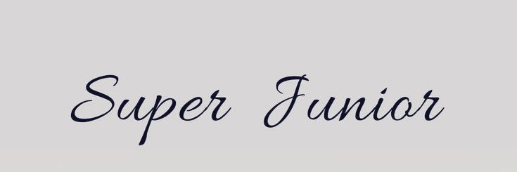 wonkyuxsj's profile banner image