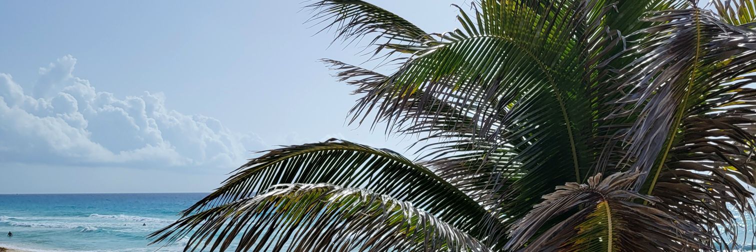 Kinolop's profile banner image